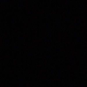 Meet your Posher, Dylan